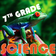 BT: Grade 7 Science