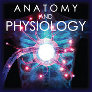 BT: High School Anatomy and Physiology